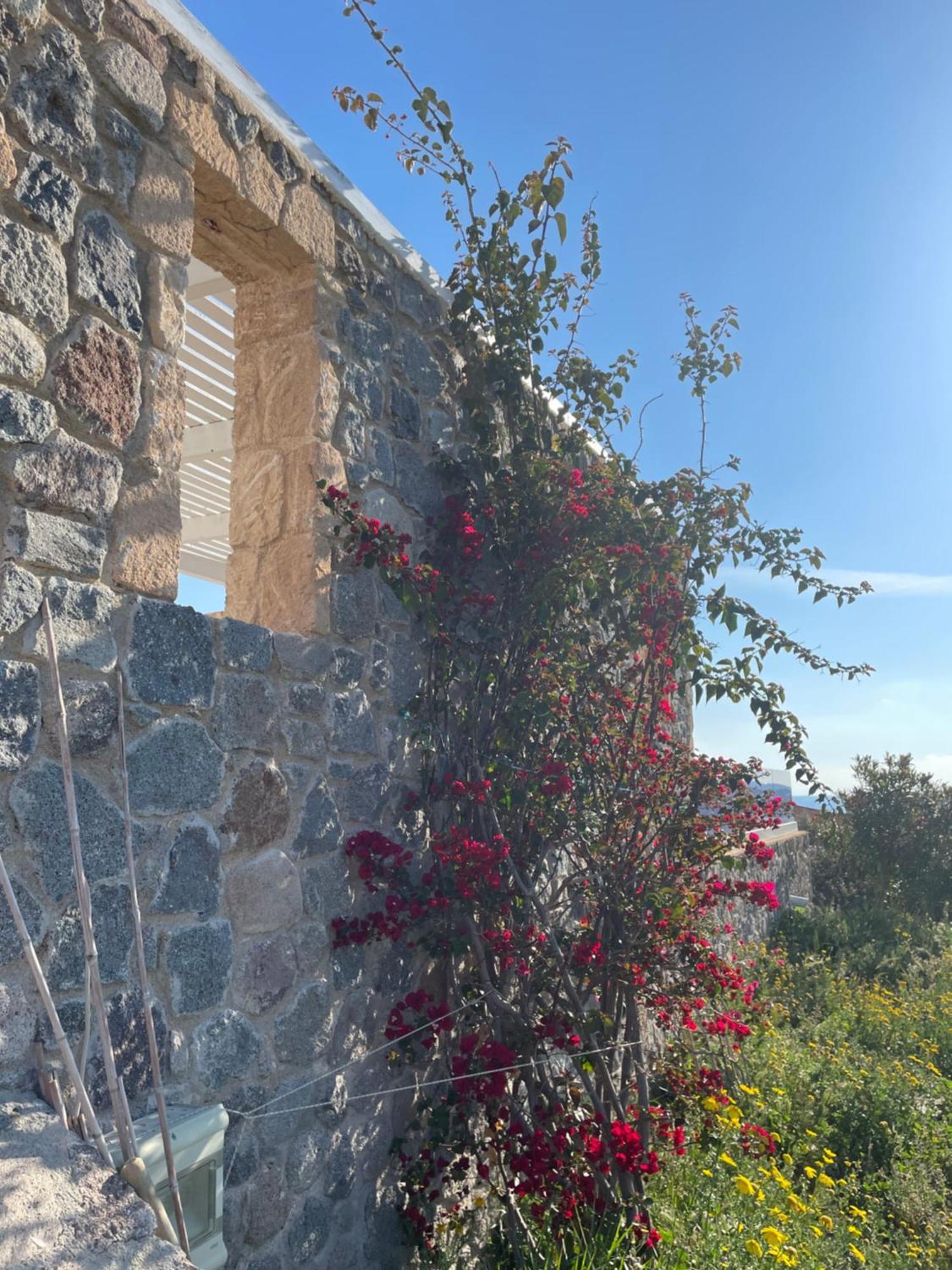 Souvala /Aegina. Excellent Location Luxury Villa. Vathi  Экстерьер фото